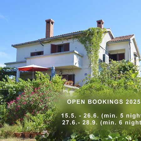 Apartment Zoja Пинезичи Экстерьер фото