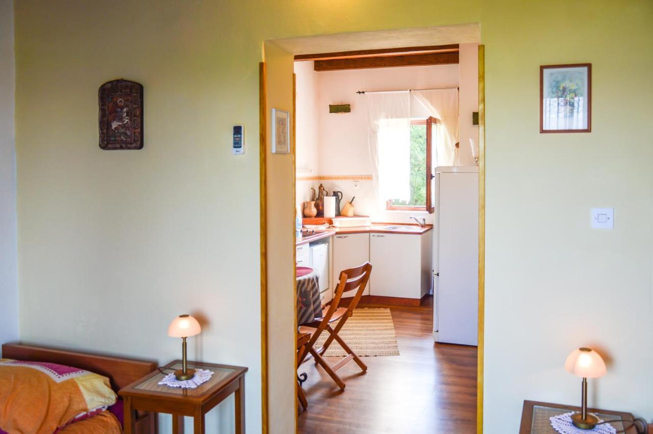 Apartment Zoja Пинезичи Экстерьер фото