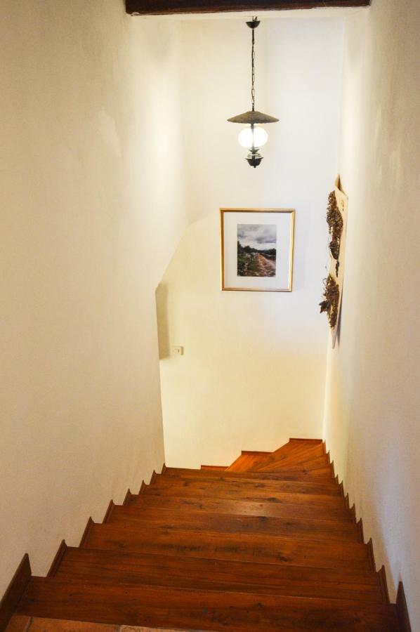 Apartment Zoja Пинезичи Экстерьер фото