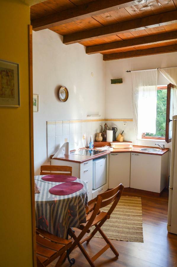 Apartment Zoja Пинезичи Экстерьер фото