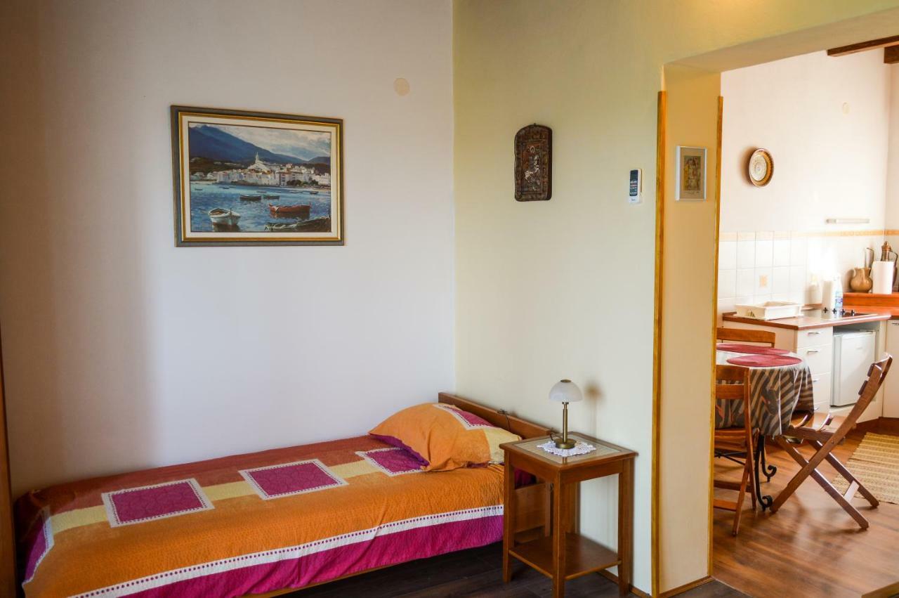 Apartment Zoja Пинезичи Экстерьер фото