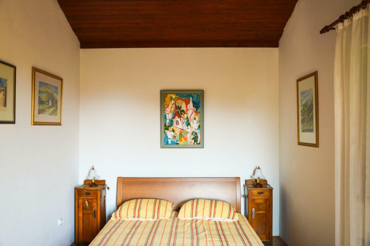 Apartment Zoja Пинезичи Экстерьер фото