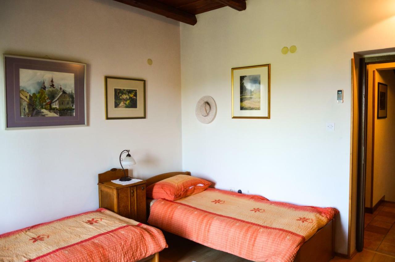 Apartment Zoja Пинезичи Экстерьер фото